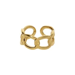 Chain Ring