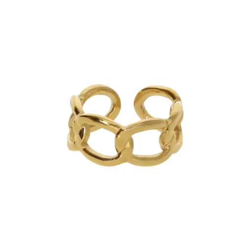 Chain Ring
