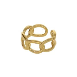 Chain Ring