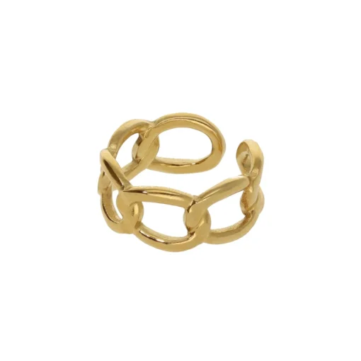 Chain Ring