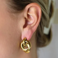 Double Hoops