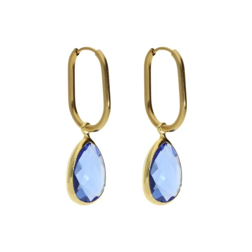 Enchanting Crystal Earrings