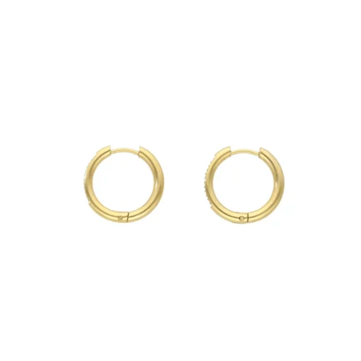 Little Basic Earrings