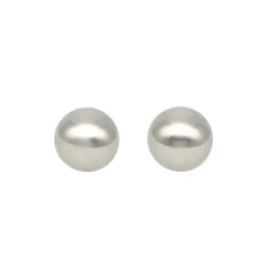 Silver Studs
