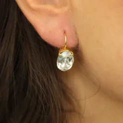 Swarovski Oval Earrings