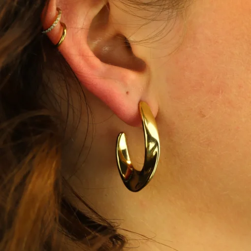 Twisted Earrings